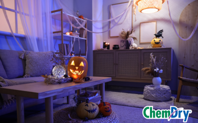 The Scariest Things in Your Home Might Be Hiding in Your Carpet