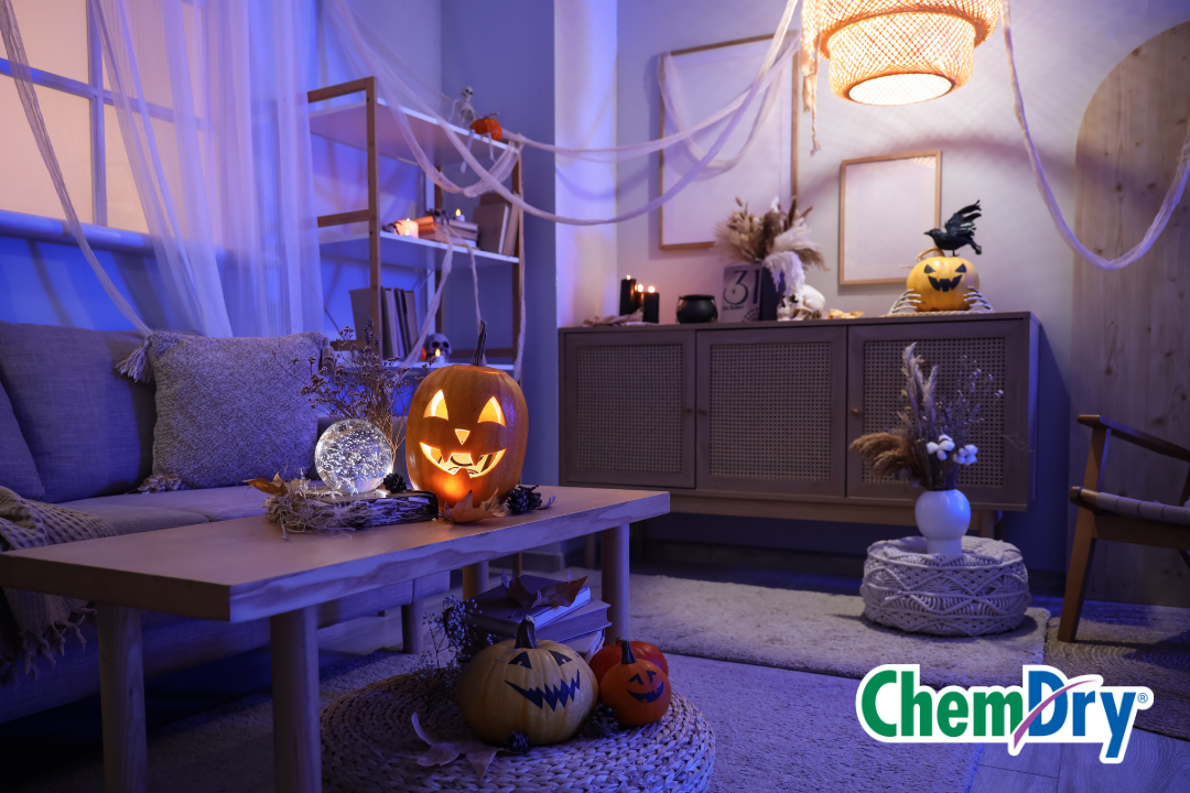 living room with carpet, area rug, and upholstered couch decorated for halloween